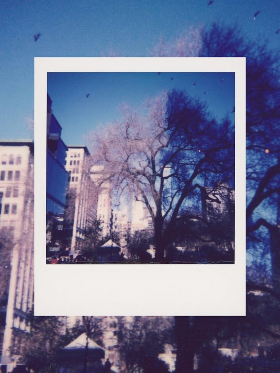 노션 갤러리에서 이름 속성 숨기는 방법