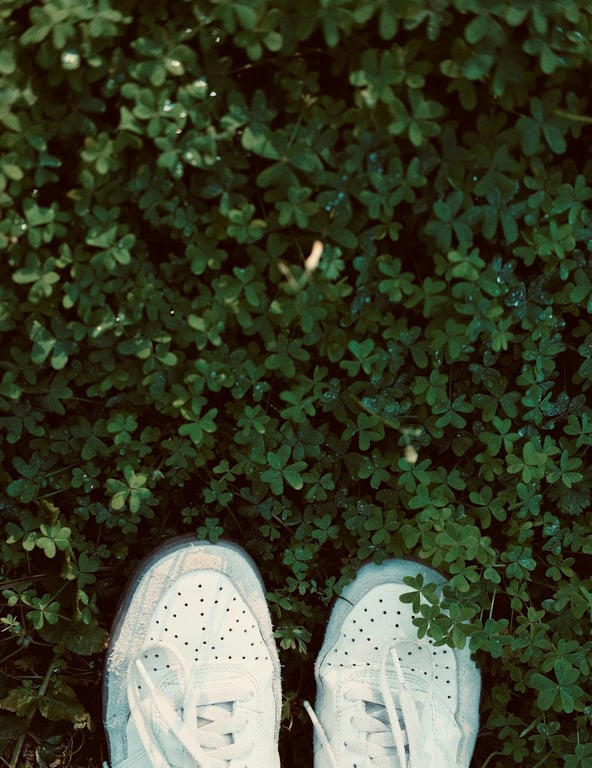 노션 양식 고급 기능 4가지 활용법