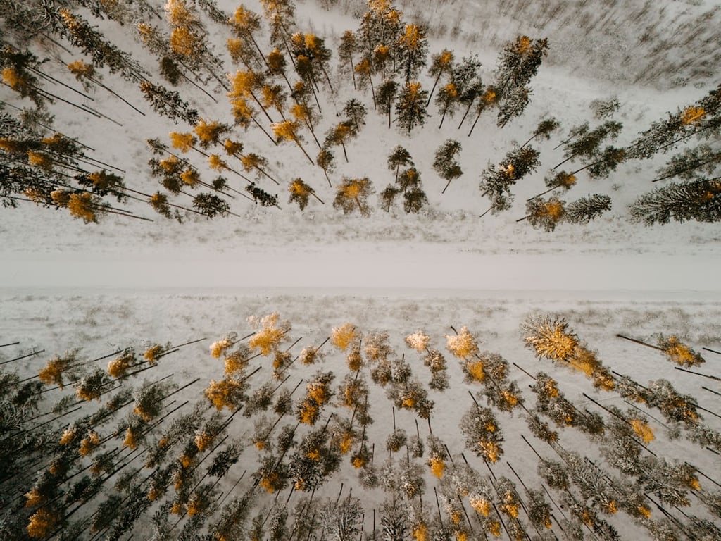 노션 캘린더 라인 넣기 - 수식으로 일정 시각화하는 방법