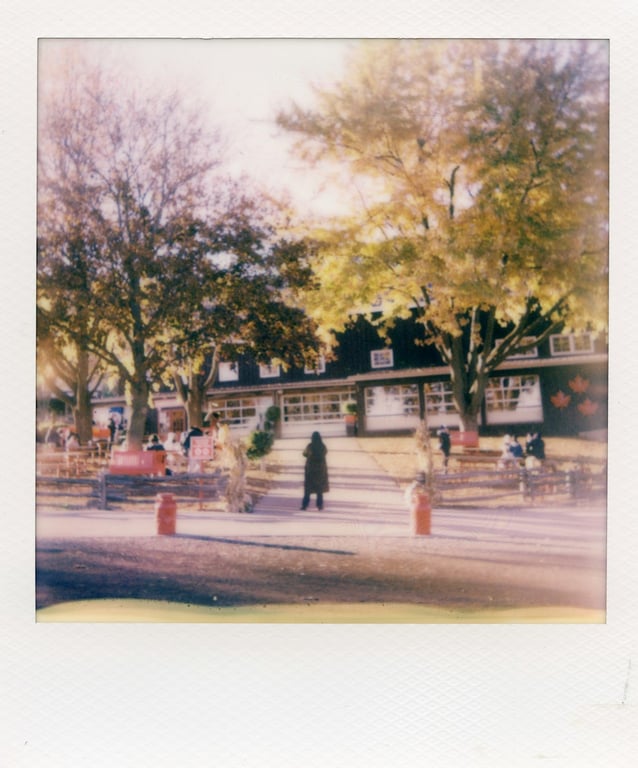 노션 양식으로 생기부 초안 자동화하는 방법 (Make 활용)