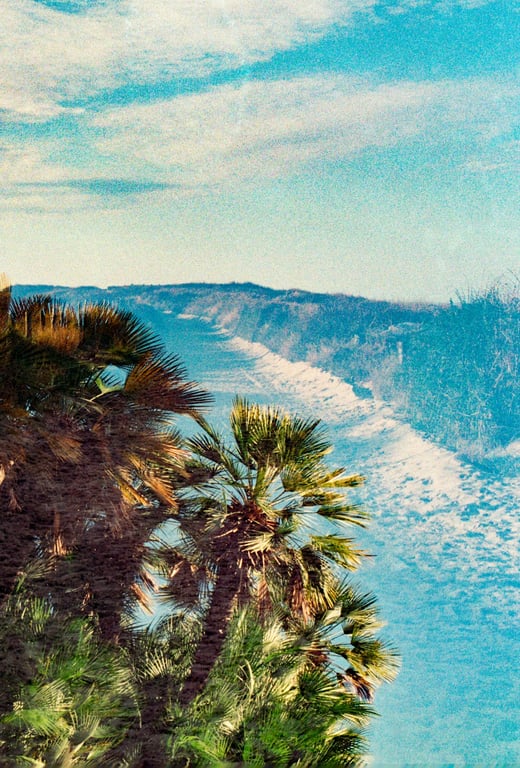 노션 꾸미기에 필요한 무료 사이트 12개 모음