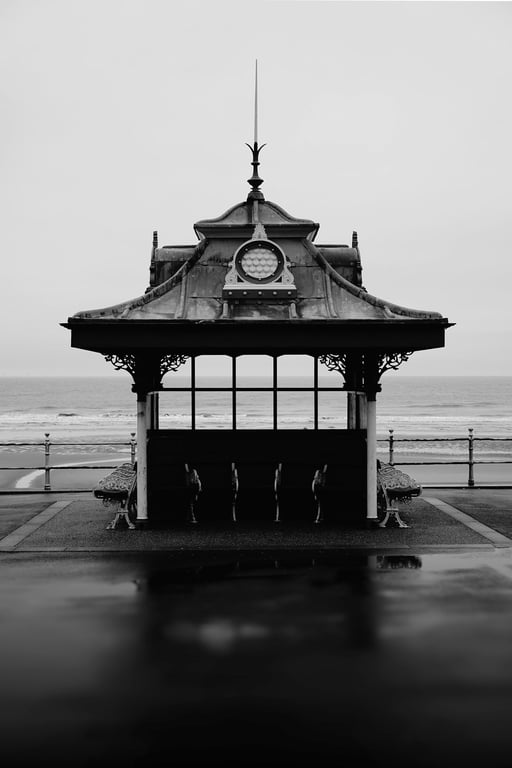 노션 데이터베이스 열 너비 자동 조정하는 방법