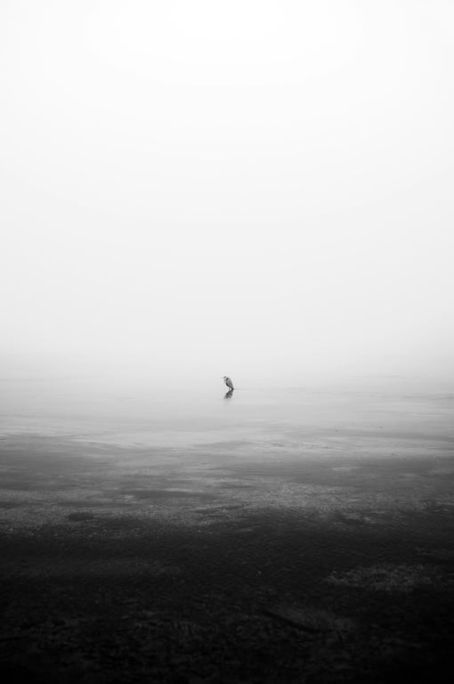 노션 데이터베이스 열 너비 제한 없이 줄이는 방법