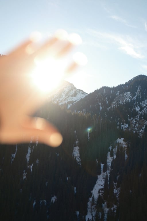 노션 버튼 블록으로 반복 작업 자동화하는 방법