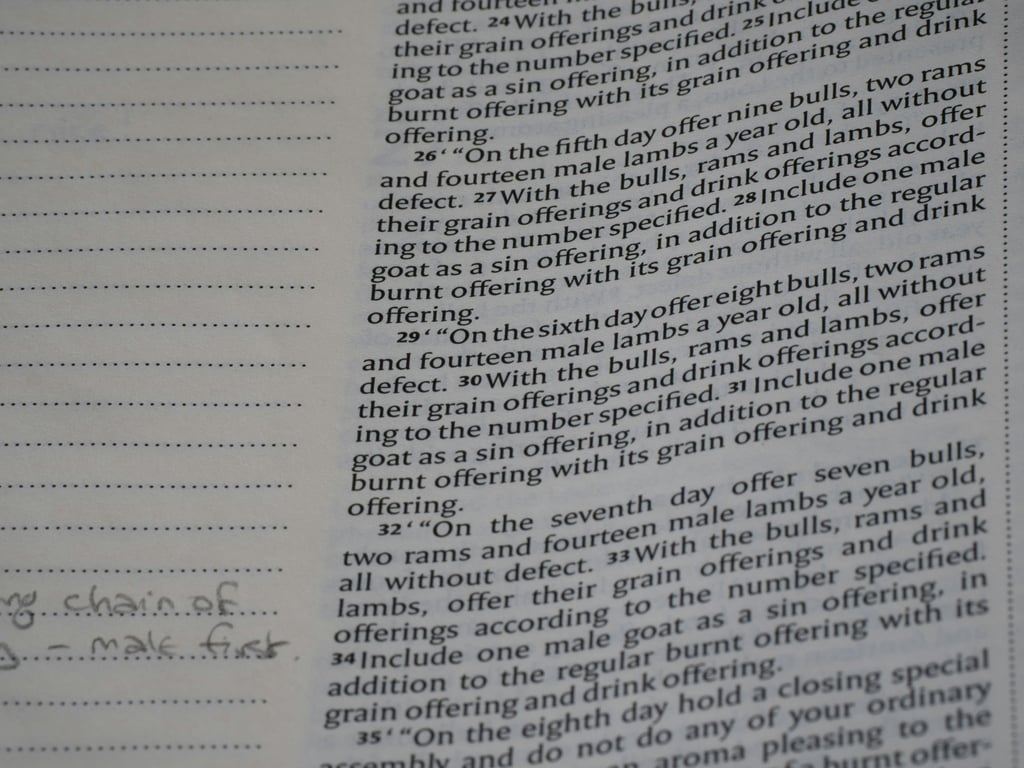 How to build a Notion meeting notes database with AI autofill