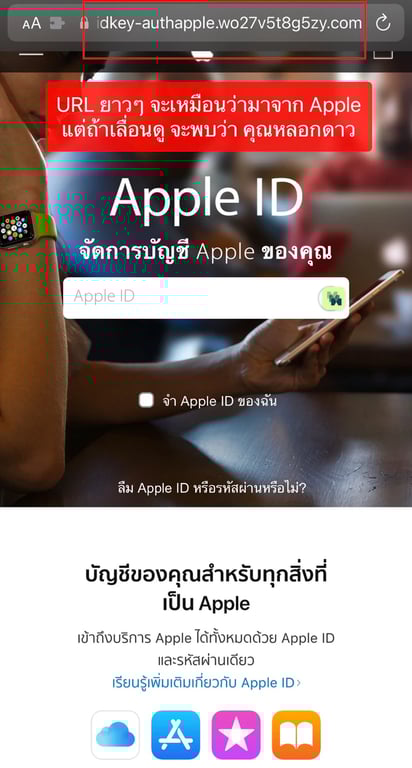 notion image