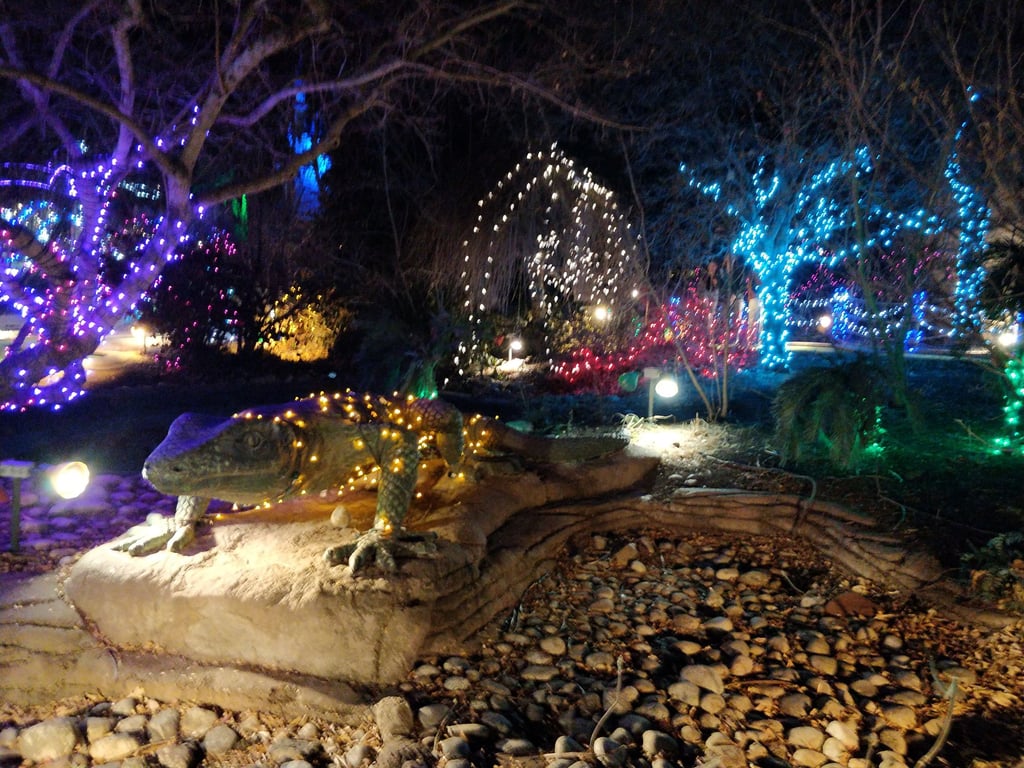 Clash of jungle adventure themed mini golf and Christmas lights