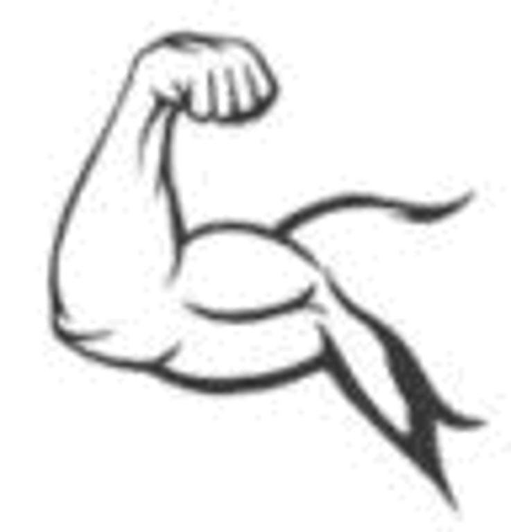 The Josh Bryant Bench Press Program! | Revolutionary Program Design