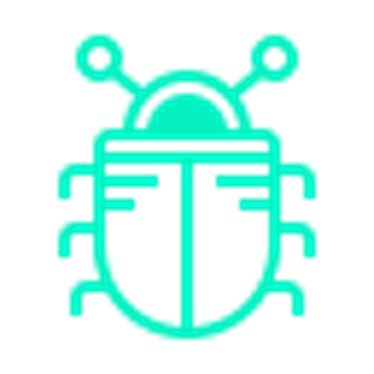 Bug Bounty Programs