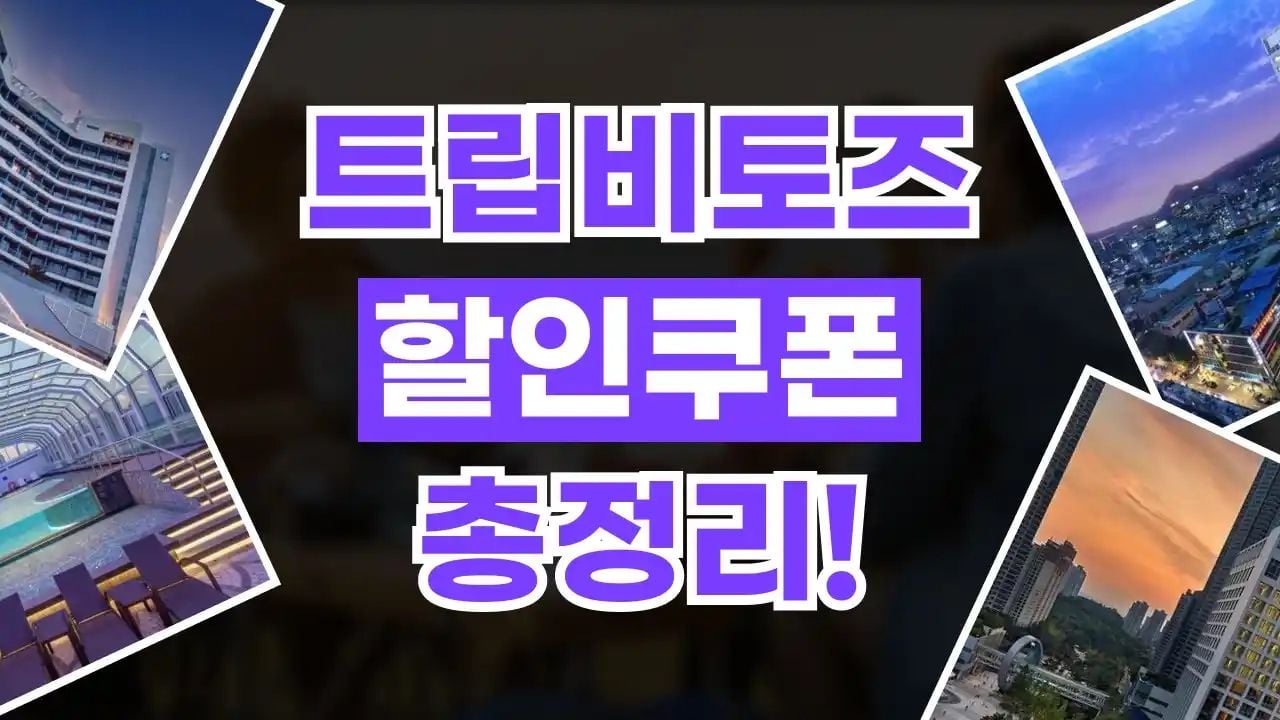 트립비토즈 할인코드 10월