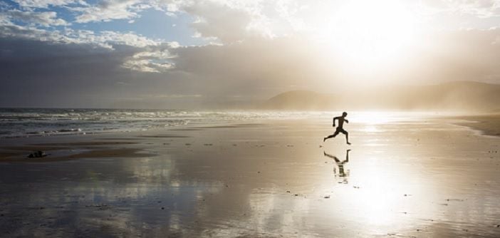 «Les “ Free Range Humans », expression forgée par Marianne CantwellTest