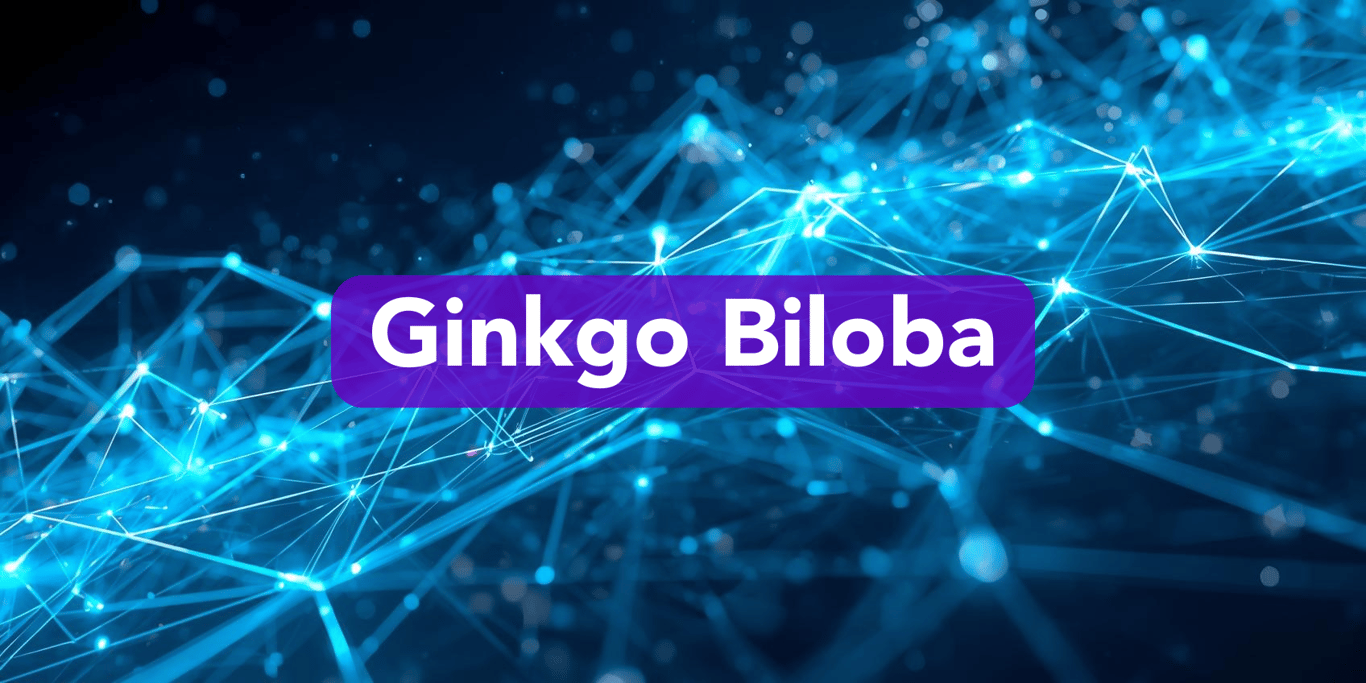 Ginkgo Biloba