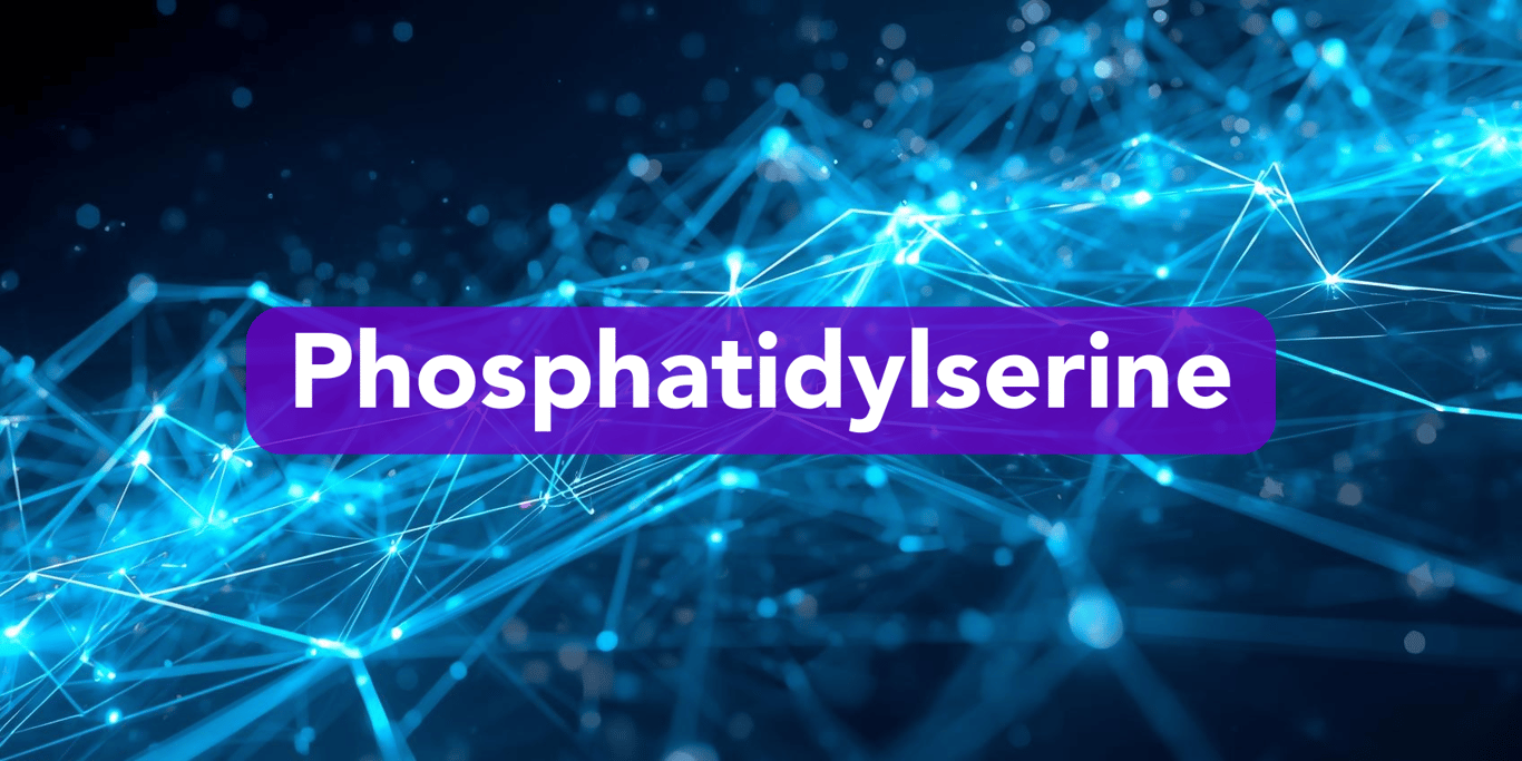 Phosphatidylserine