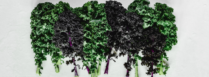 Les vrais super-aliments sont accessibles, locaux et économiques