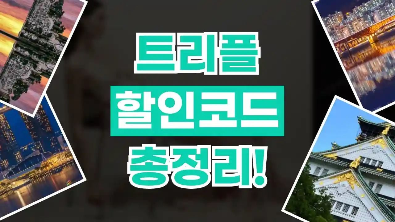 트리플 쿠폰 8월