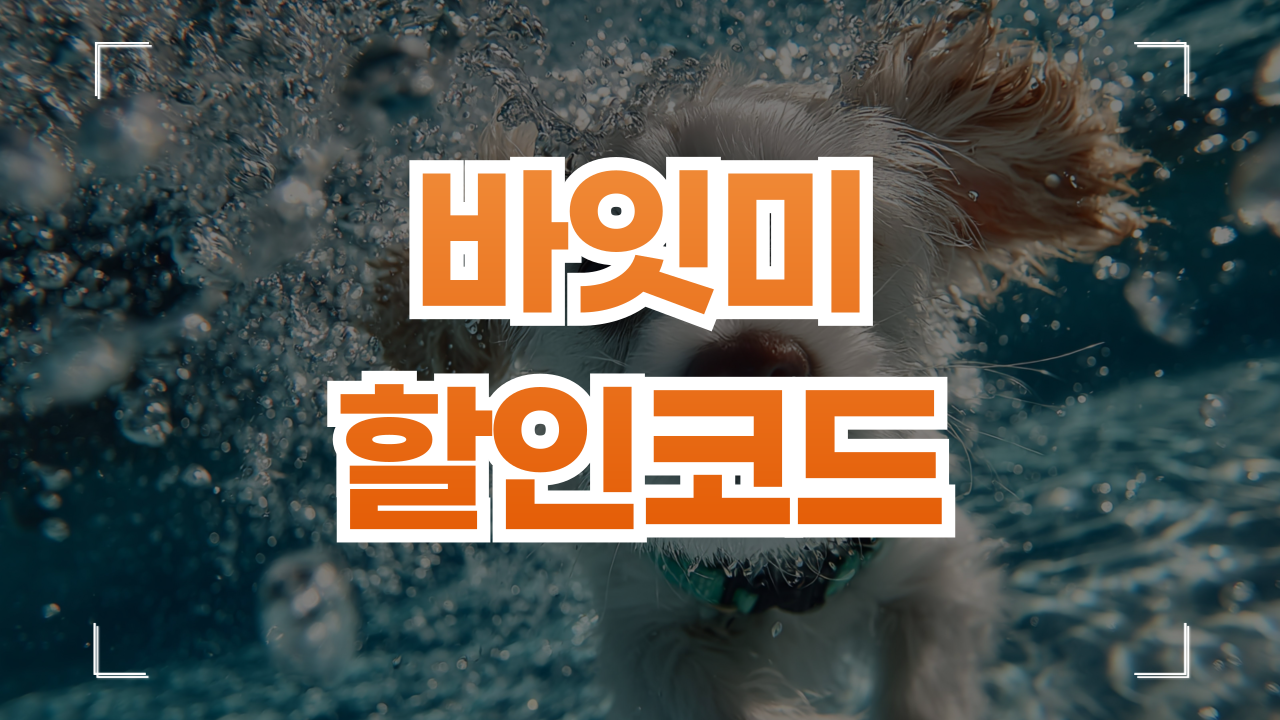 바잇미 쿠폰 할인코드 9월