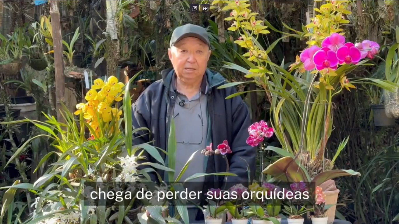 12 Segredos das Orquideas