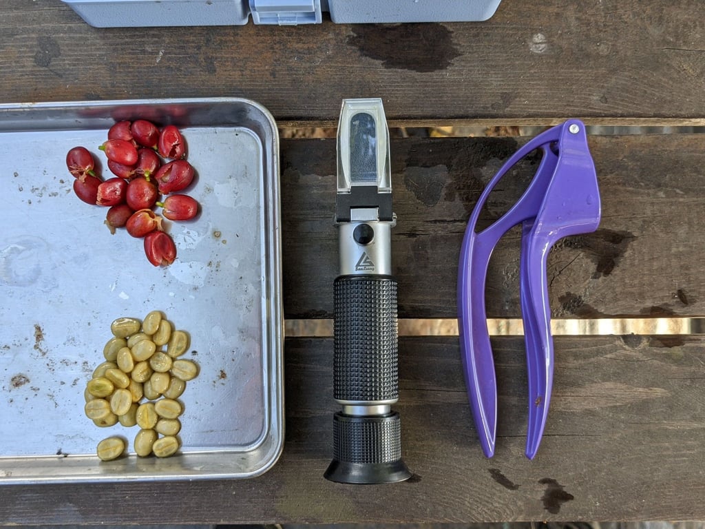 咖啡園的秘密：糖度（Brix）如何影響風味