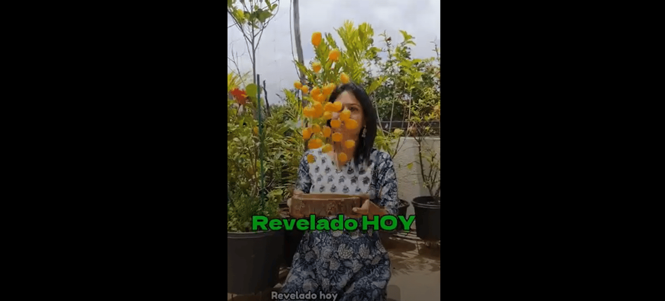 Método Indiano (Jardinagem) - Infoproduto - Português (Brasil)