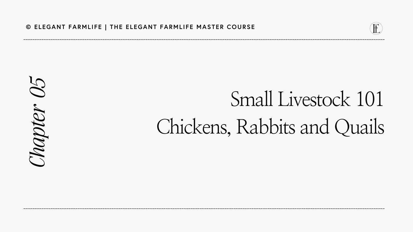 05: Small Livestock 101—Chickens, Rabbits & Quails