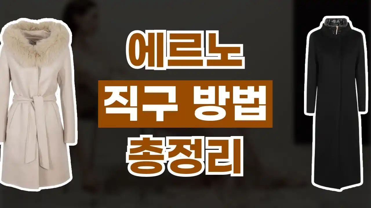 에르노 직구 사이트