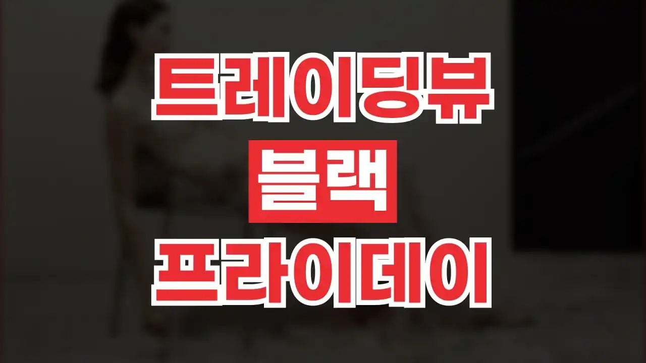 트레이딩뷰 블랙프라이데이 최대 50% 할인