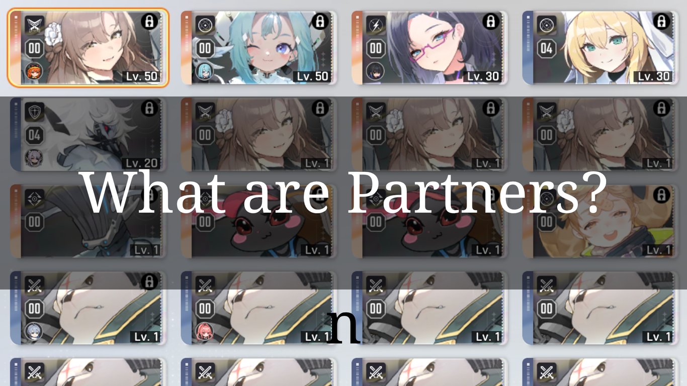 What are Partners?