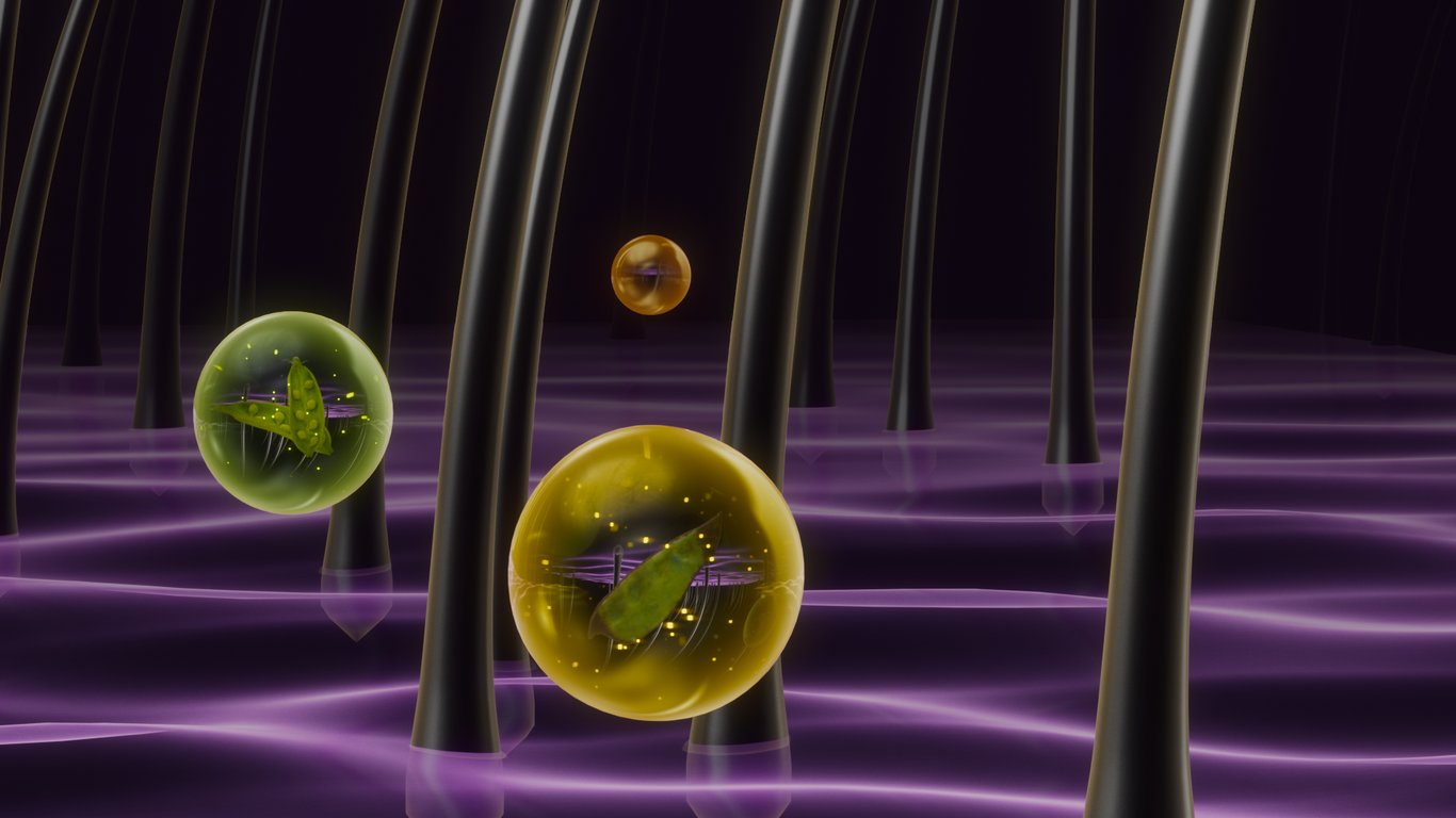 DẦU GỘI SAO THÁI DƯƠNG GOLD | SAO THÁI DƯƠNG