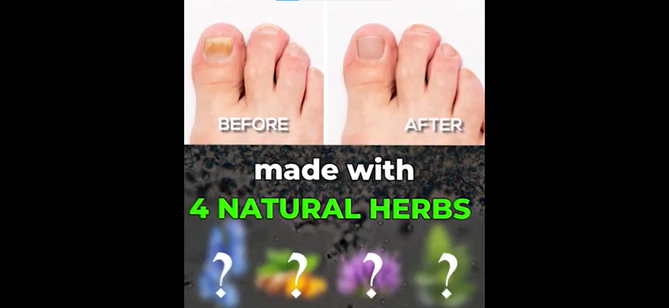 Blinzador (Protocolo Militar)