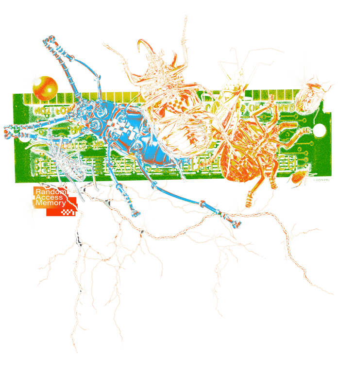 OON FIRST COLLECTION