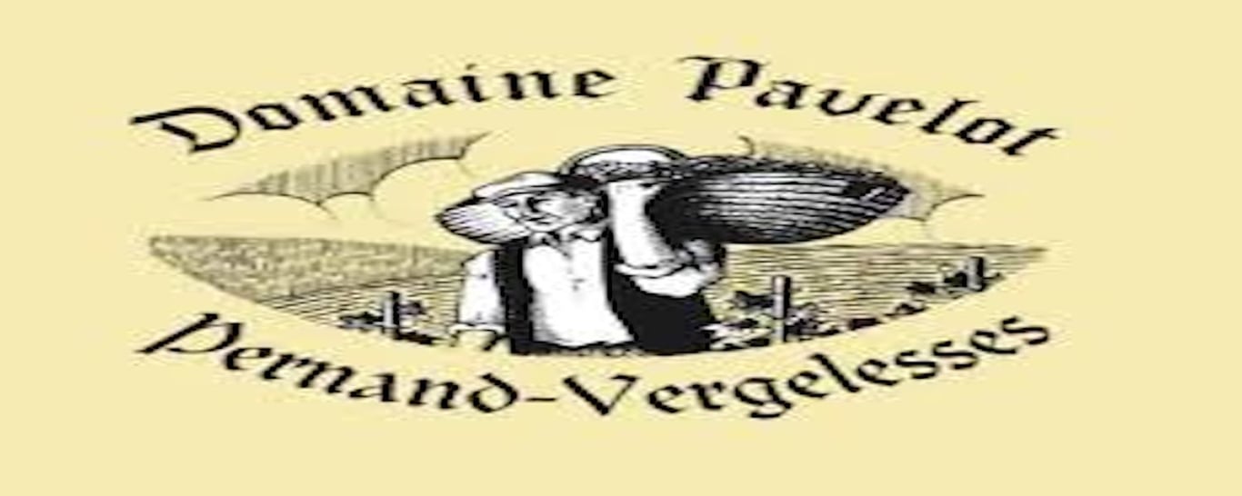 Pernand Vergelesses Village Blanc