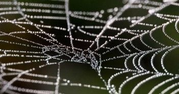 Comment intégrer une idée complexe, le conseil de Seth Godin | HORIZOOM | Horizoom