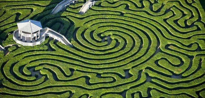 Le labyrinthe de la vie – Citation de Martha Beck