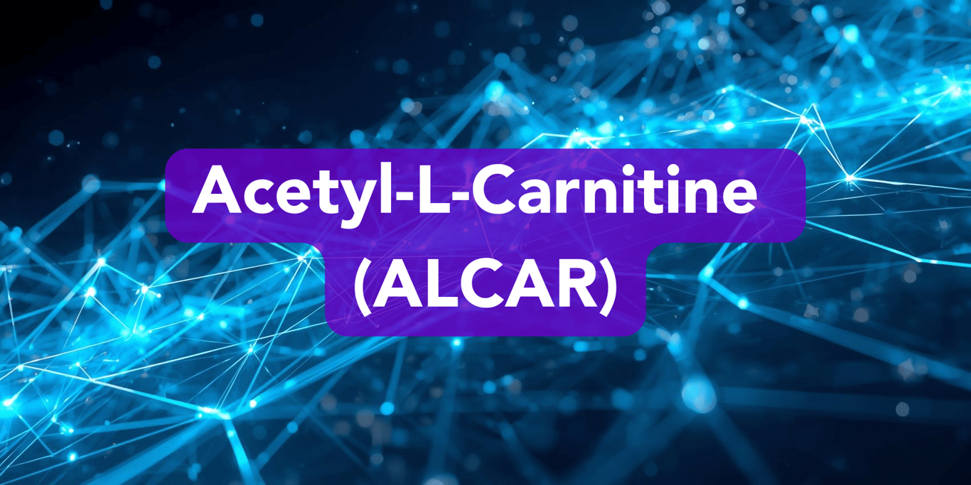 Acetyl-L-Carnitine (ALCAR)