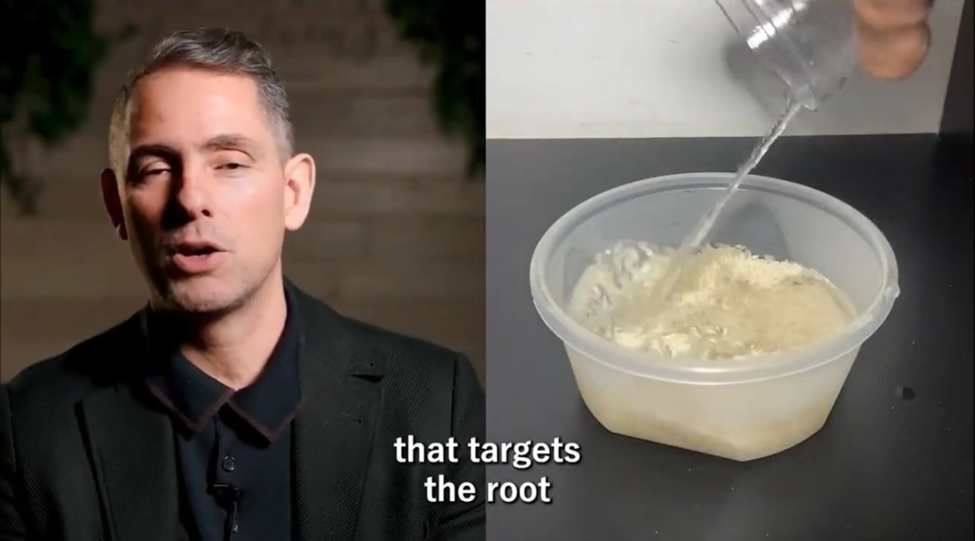 Ritual do Arroz (Folifix) (Calvice)