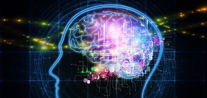 Le cerveau : mode rapide