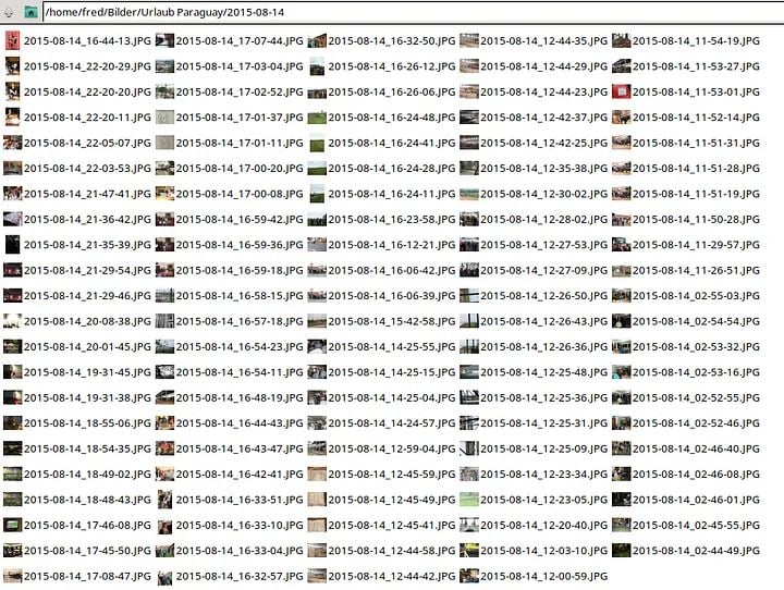 Fotos von verschiedenen Kameras zusammenführen und clever umbenennen – so geht‘s