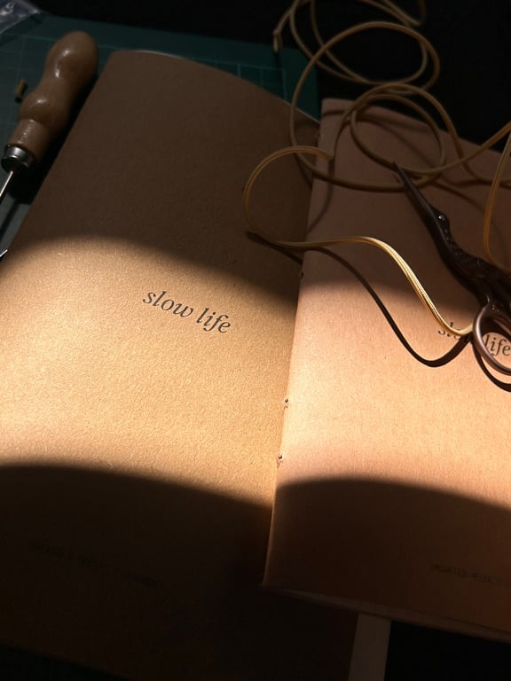 september paper IRL
