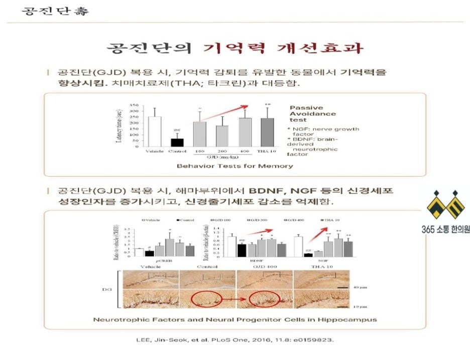 notion image