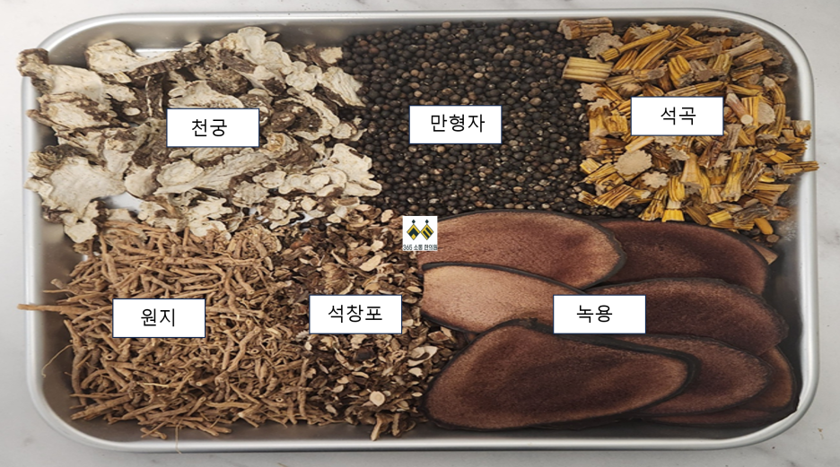 notion image