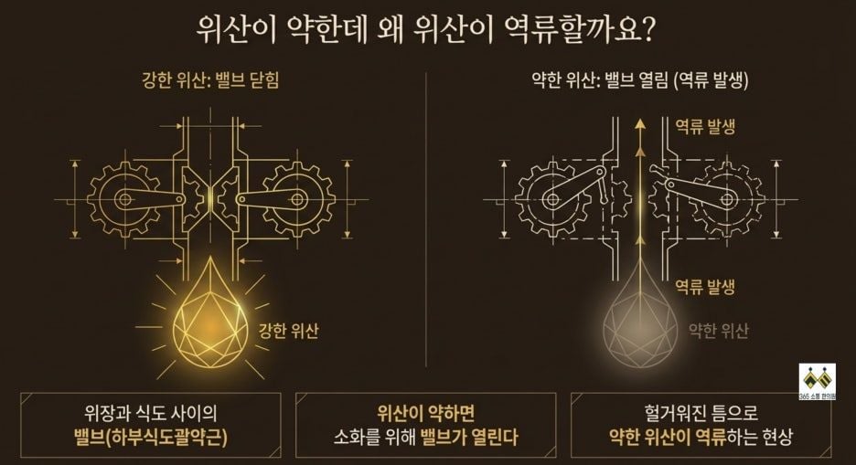 notion image