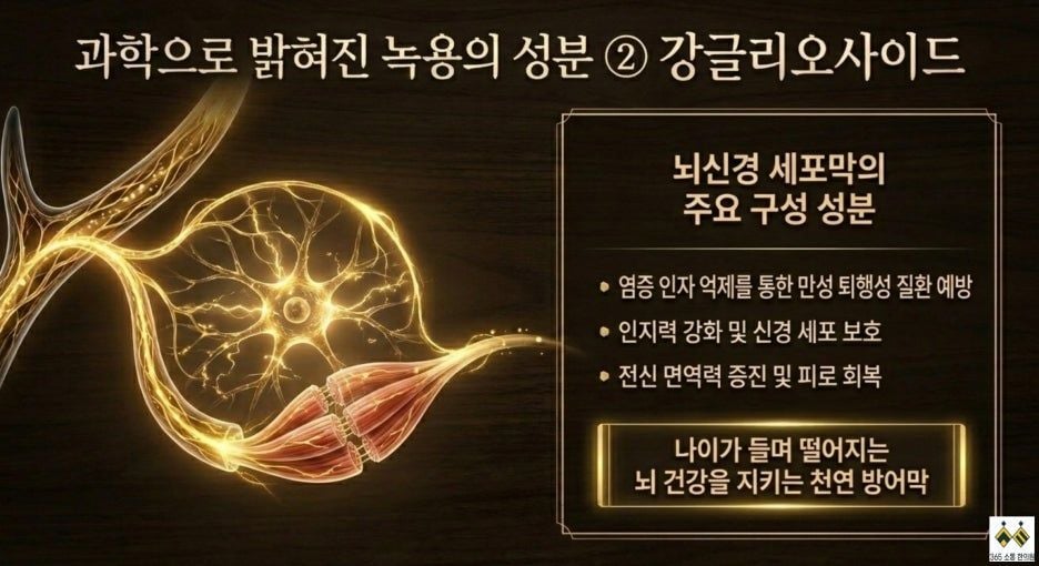 notion image