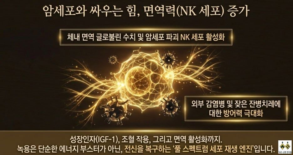 notion image