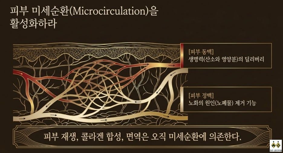 notion image