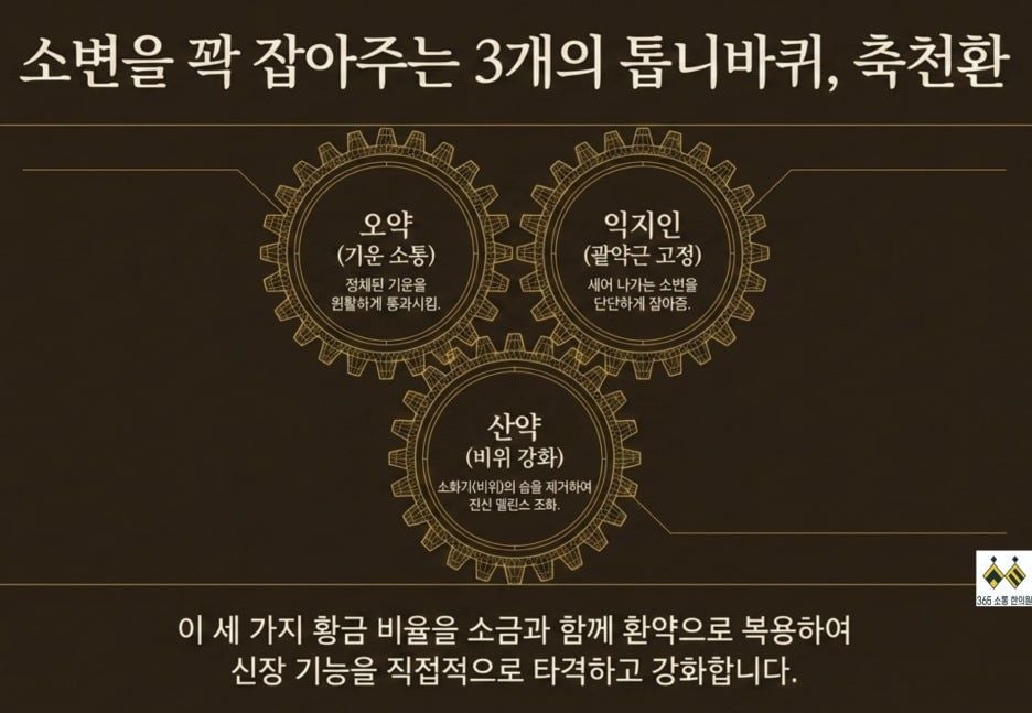 notion image
