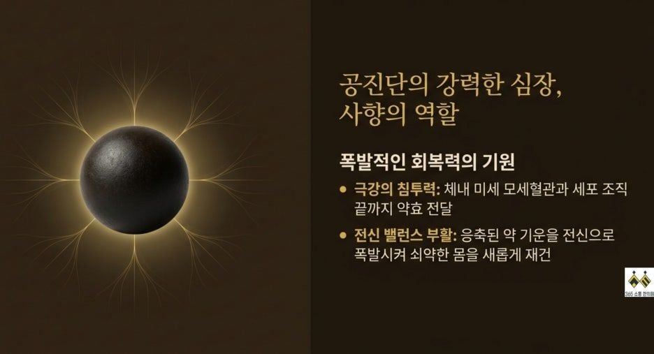 notion image