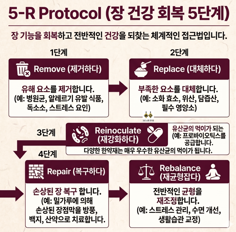 5R-Protocol(장_건강_회복_5단계).png