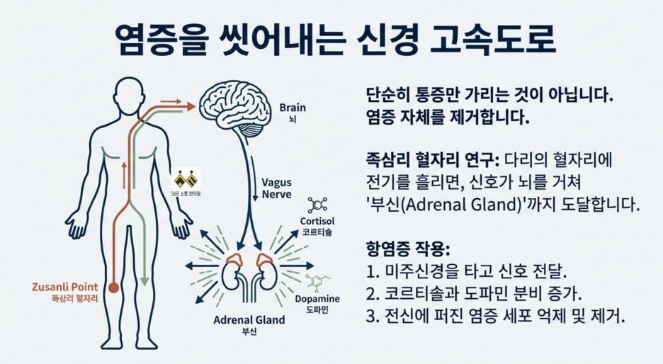 notion image