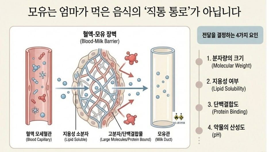 notion image