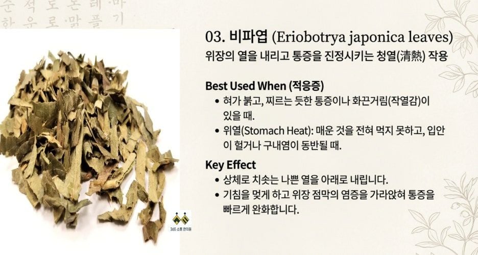 notion image